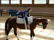 voltitag 2009 _CD1 092